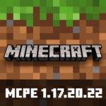 Minecraft 1.17.20.22