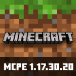 Minecraft 1.17.30.20